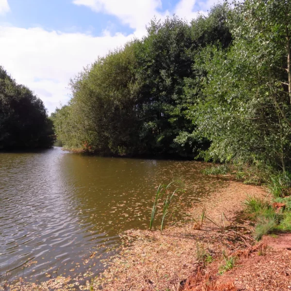 Destan Pool exclusive carp fishery near Bridgnorth in Shropshire