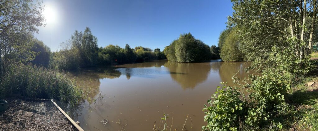 Destan Pool exclusive carp fishery