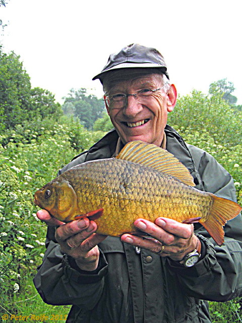 A fine specimen of a Crucian Carp caught by Peter Rolfe of the Crucian website