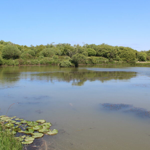 Caspars Lake at Yet-Y-Gors fishery in Pembrokeshire, Wales