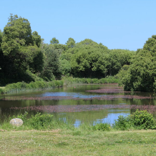 Rocky's Lake at Yet-Y-Gors fishery in Pembrokeshire, Wales