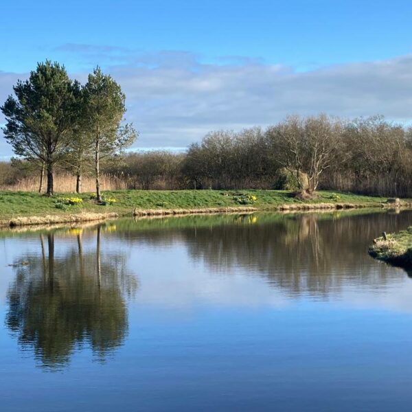 Yet-Y-Gors fishing and camping holidays in Pembrokeshire