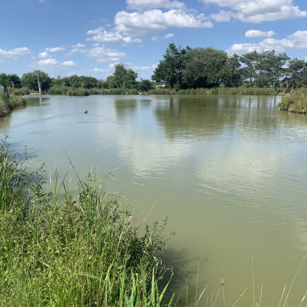 Fishing Bottom Specimen Lake at Townsend Fisheries in Bridgnorth, Shropshire