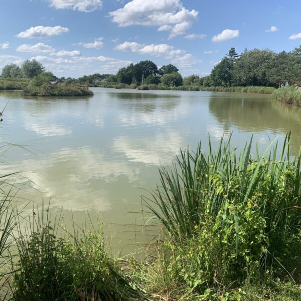 Fishing Bottom Specimen Lake at Townsend Fisheries in Bridgnorth, Shropshire