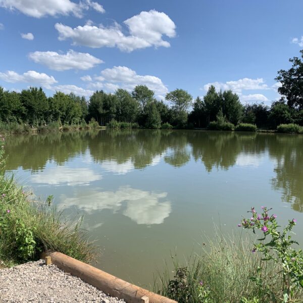 Top Specimen Lake at Townsend Fisheries in Bridgnorth, Shropshire