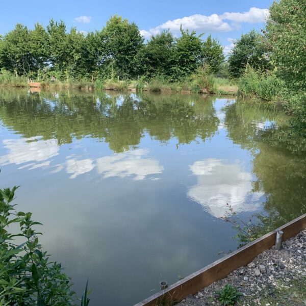 Top Specimen Lake at Townsend Fisheries in Bridgnorth, Shropshire