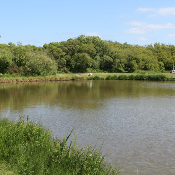 Woody's Lake at Yet-y-Gors fishery and campsite in Pembrokeshire, Wales