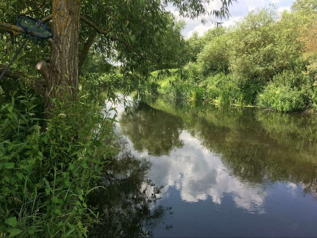 A beautiful stretch of river - and a great habitat for Chub