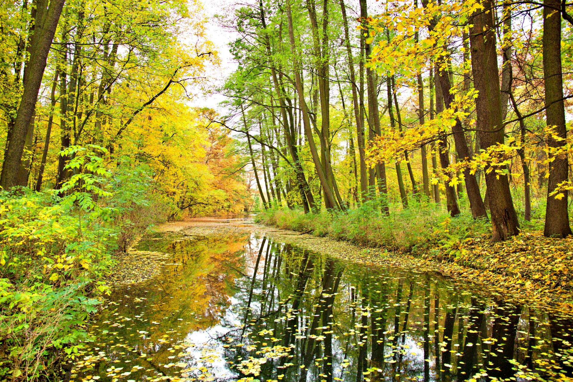 Autumn is a magical time to go fishing and often and often productive