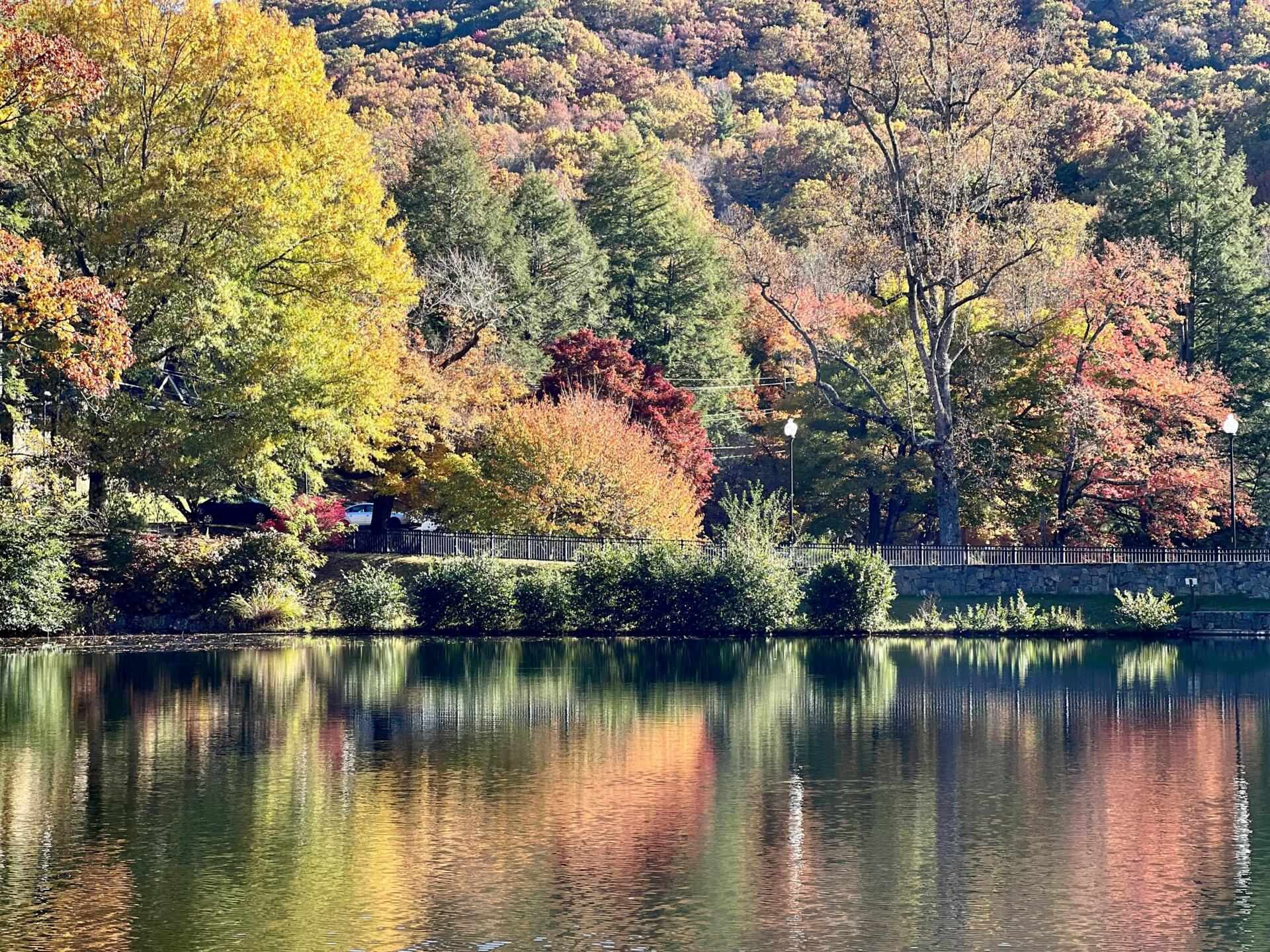 Autumn Fishing