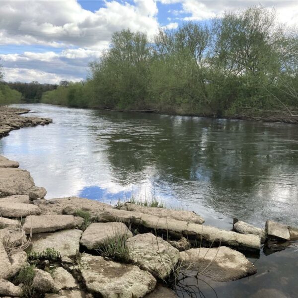 For sale - a share of The Carrots Fishery on the River Wye downstream of Hereford