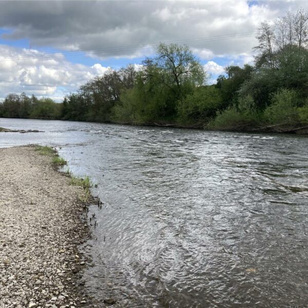 For sale - a share of The Carrots Fishery on the River Wye downstream of Hereford