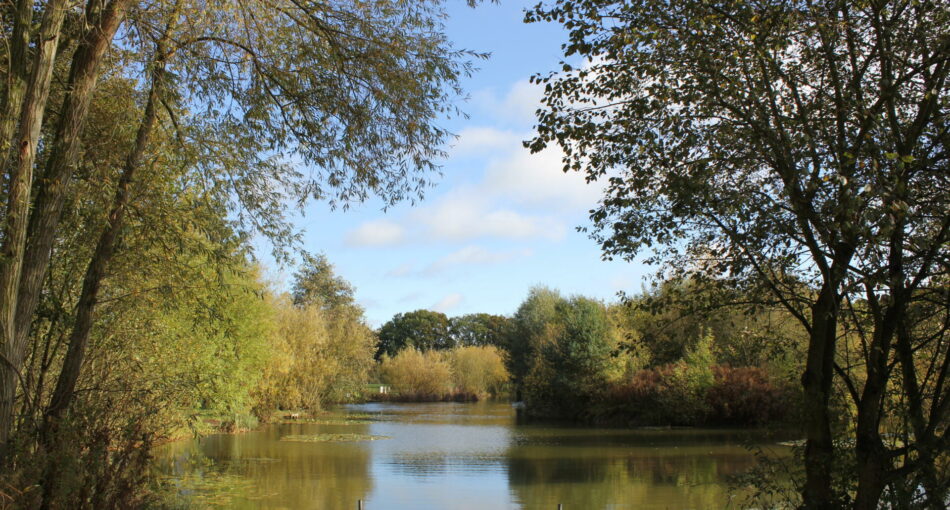 Adam's Lake at Cobbleacre Park Lakes in Hevingham, Norfolk