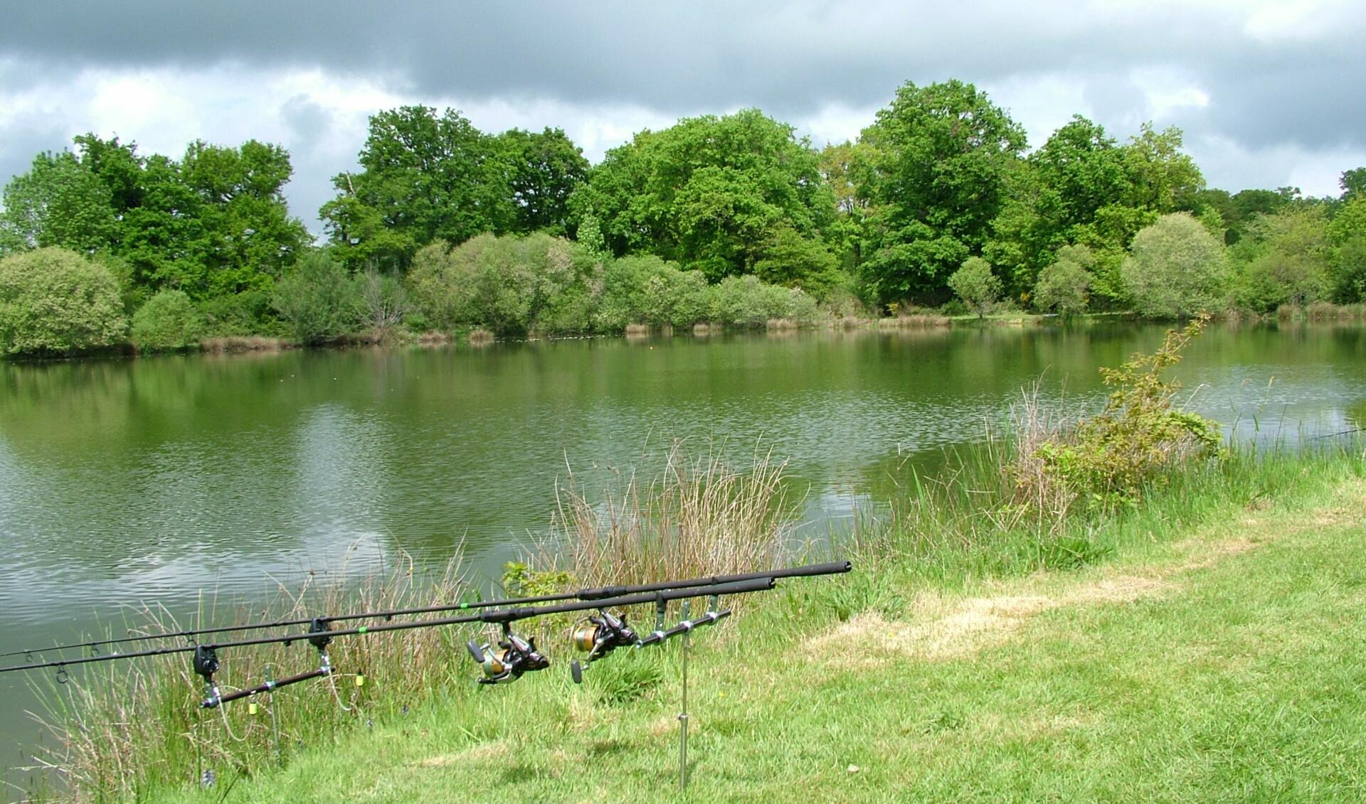 How lake fertilisation can improve your fishery and fish