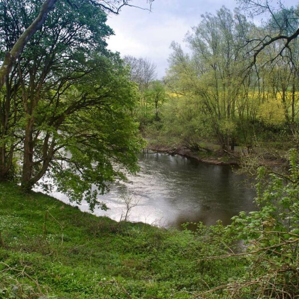 View of the River Wye from Cabalva Mill Cottage fishing holidays on the River Wye in Herefordshire