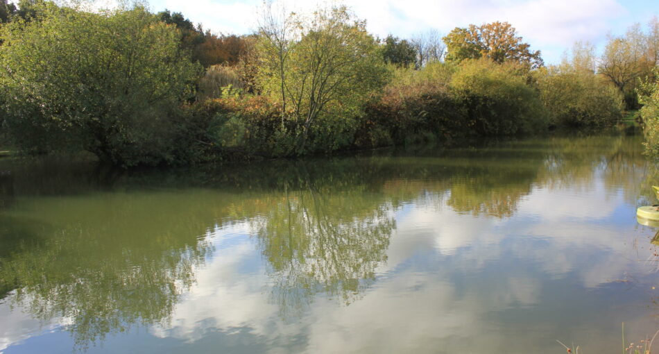 Amy's Lake at Cobbleacre Park Lakes in Hevingham, Norfolk