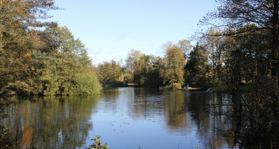 Mario's Lake at Cobbleacre Park Lakes in Hevingham, Norfolk
