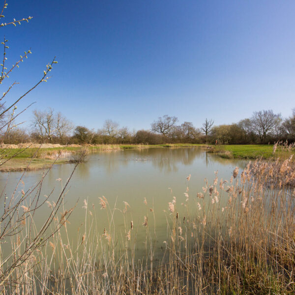 High Lodge Leisure and Fishery in Suffolk