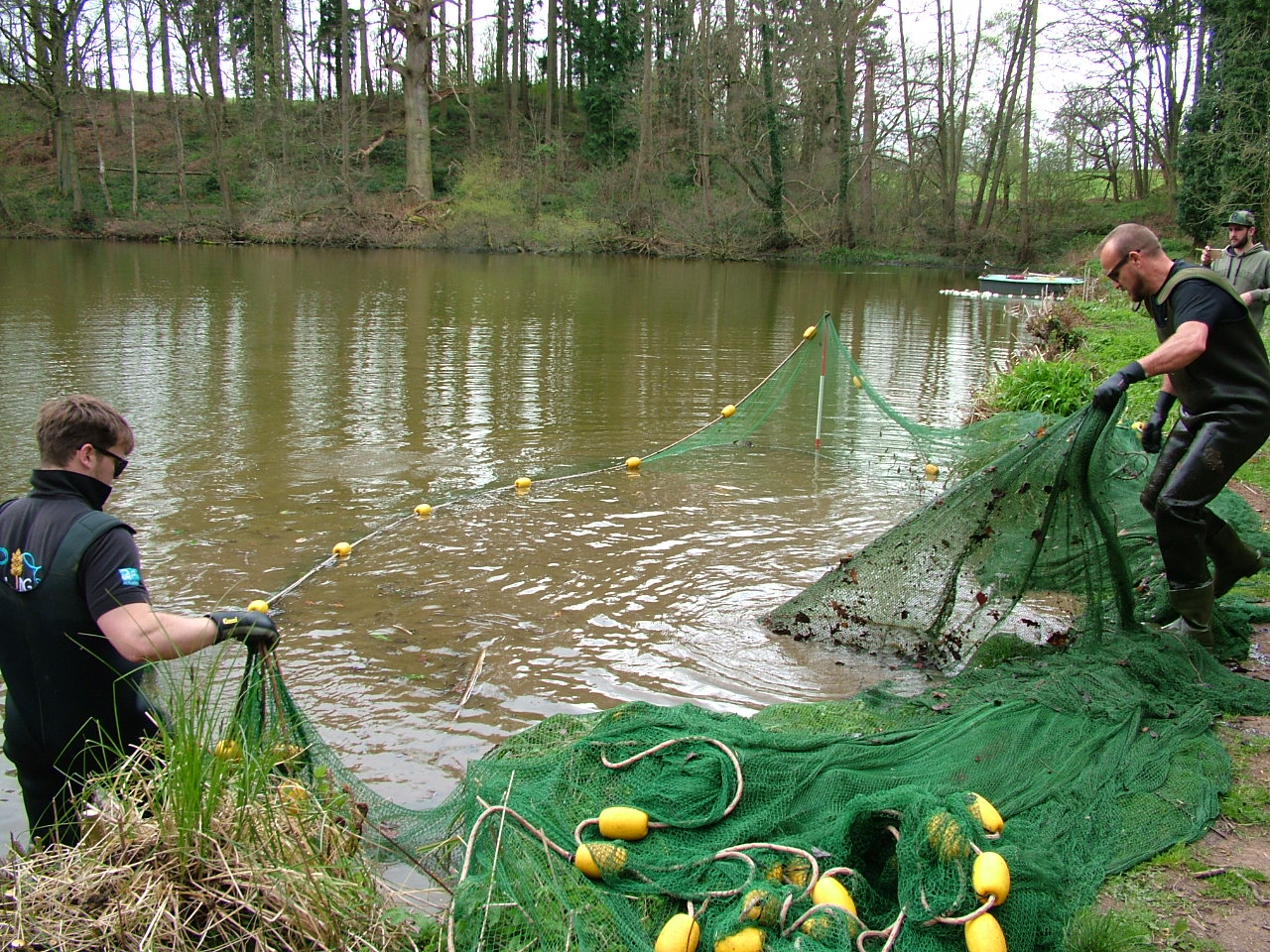 Buying a fishery of your own - check the fish stocks with a sample netting