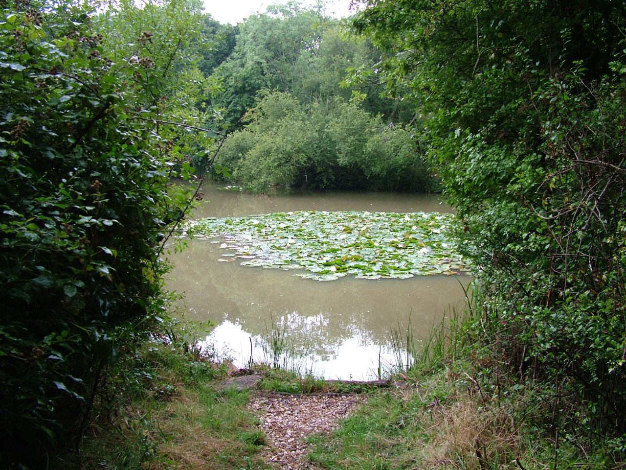 Buying a fishery of your own - pretty but is it commercial?