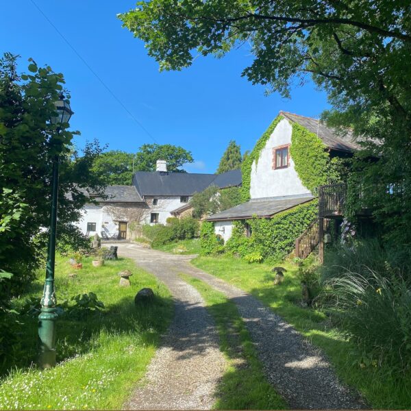 Take a fishing holiday at South Reed Farm in Okehampton, Devon