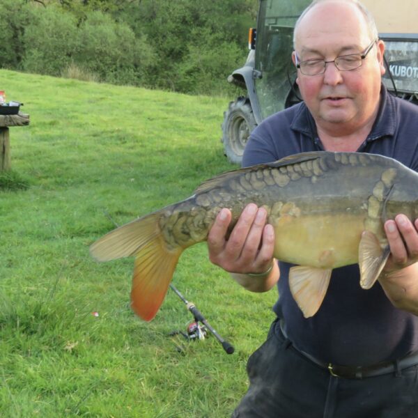 A nice Beaples Barton carp