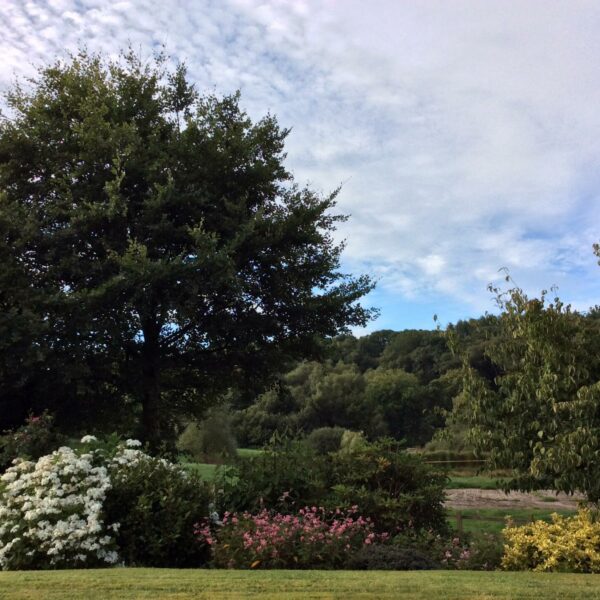 The garden at Beaples Barton holiday cottages in South Molton, Devon