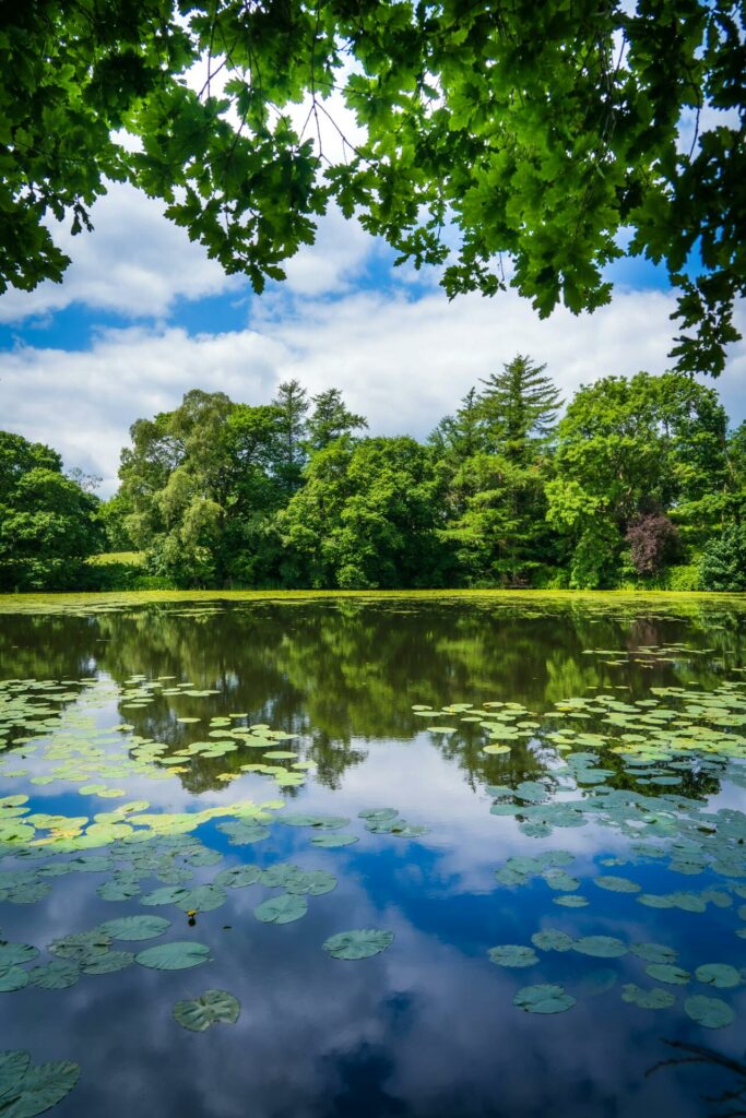 Beautiful Lake