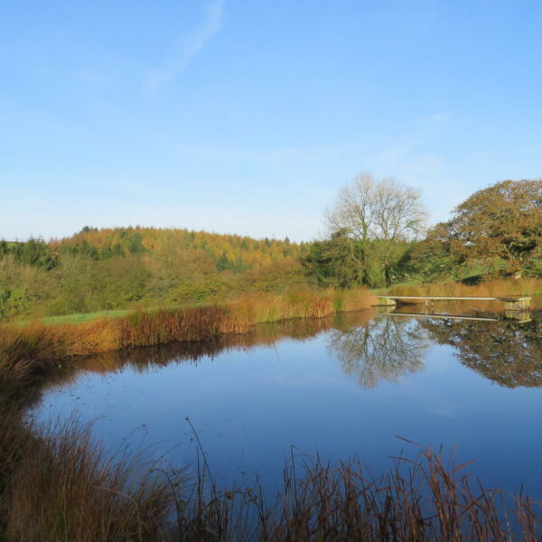 The lake at Beaples Barton holiday cottages in South Molton, Devon