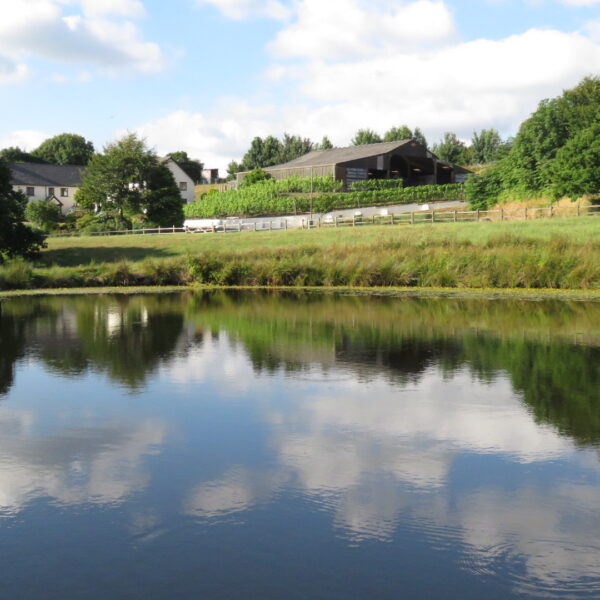 The lake at Beaples Barton holiday cottages in South Molton, Devon
