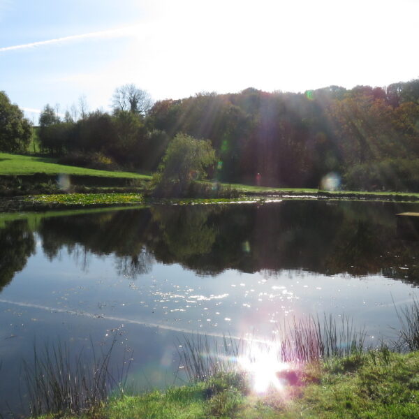 The lake at Beaples Barton holiday cottages in South Molton, Devon