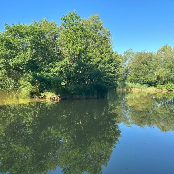 Main Lake at South Reed Farm in Okehampton, Devon