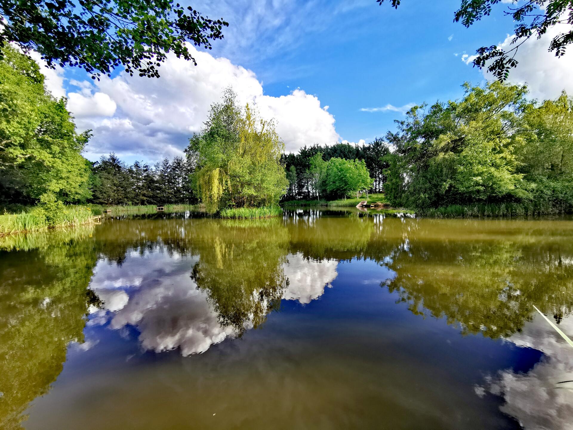 Island Pool at Woodside Fishery in Cleobury Mortimer, Shropshire