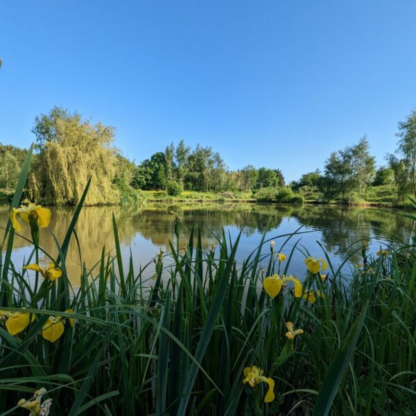 Woodside Pool at Woodside fishery in Cleobury Mortimer, Shropshire