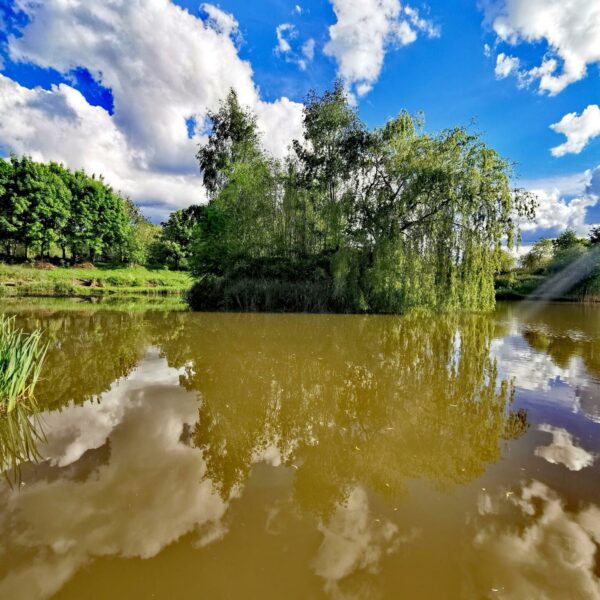 Woodside Pool at Woodside Fishery, Cleobury Mortimer, Kidderminster, Worcestershire