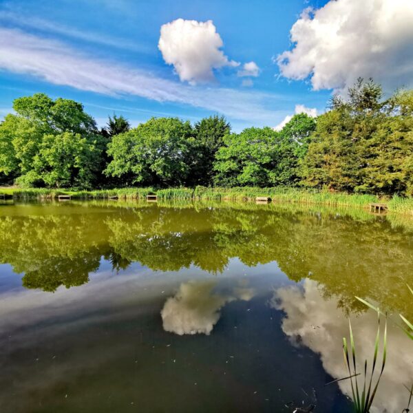 Woodside Pool at Woodside Fishery in Cleobury Mortimer, Shropshire
