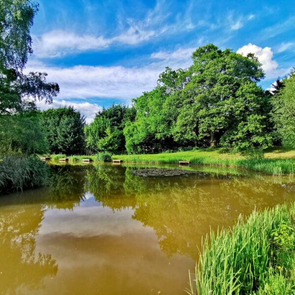 Woodside Pool at Woodside Fishery in Cleobury Mortimer, Shropshire
