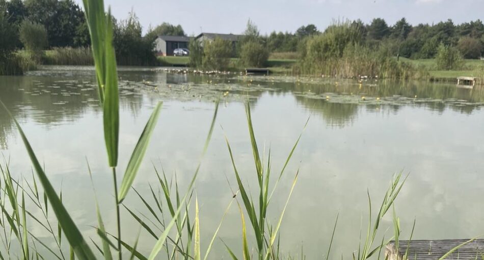 One of the fishing lakes at High Lodge Fishery and Leisure in Suffolk