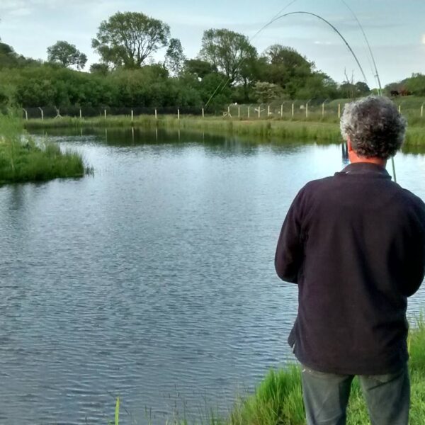 Playing a fish whilst fishing the lake at Ty Bwlcyn holiday cottage and glamping pods near Pwllheli in North Wales