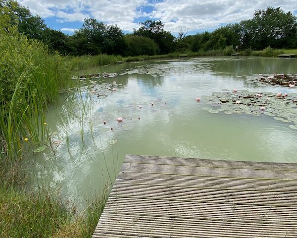 The Day Ticket Lake at High Lodge in Suffolk
