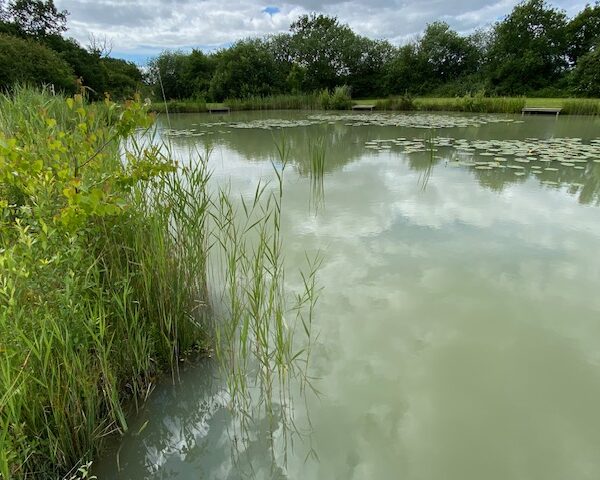 The Day Ticket Lake at High Lodge in Suffolk