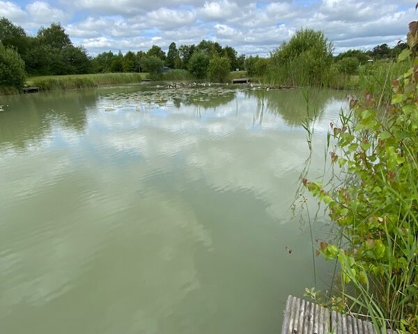 The Day Ticket Lake at High Lodge in Suffolk