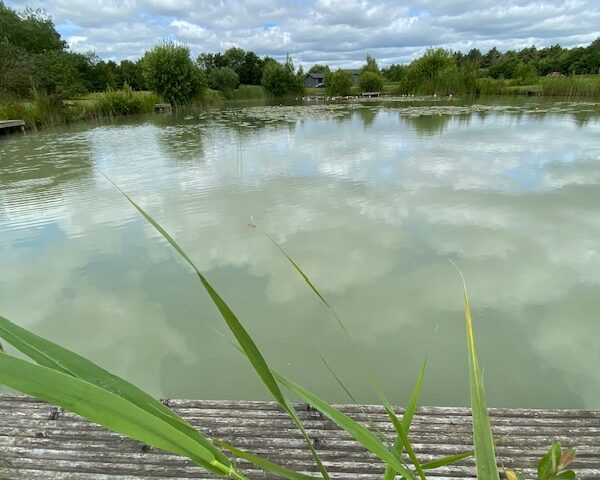 The Day Ticket Lake at High Lodge in Suffolk