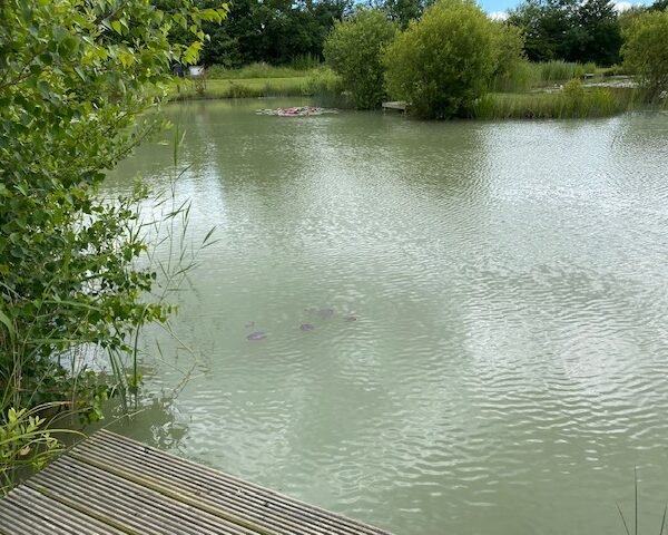 The Day Ticket Lake at High Lodge in Suffolk
