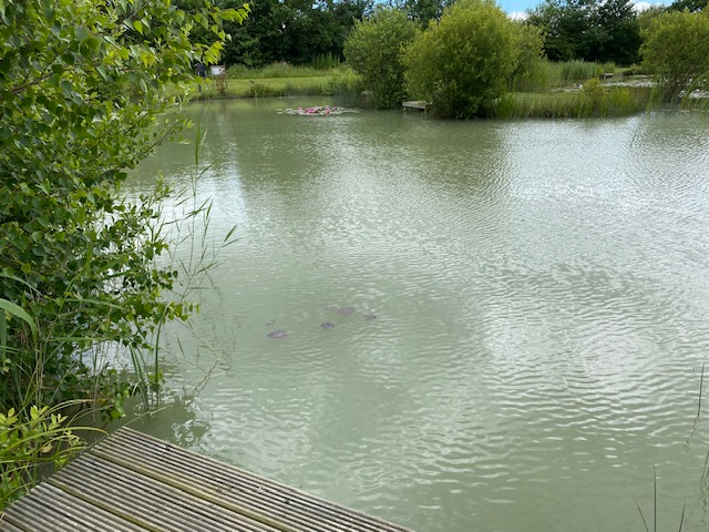 The Day Ticket Lake at High Lodge in Suffolk