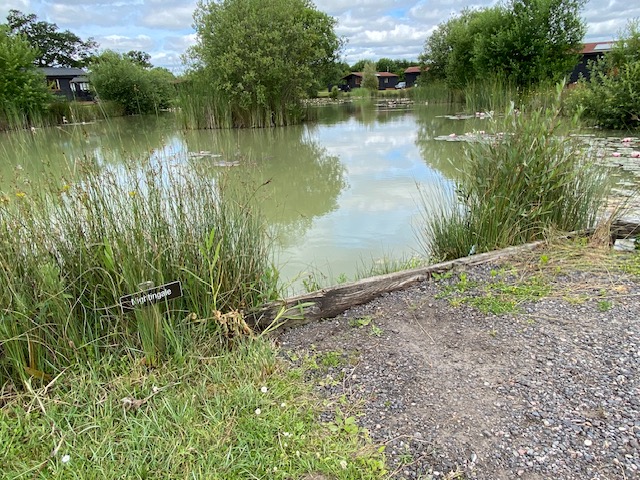 The Lodge Residents' Lake at High Lodge in Suffolk