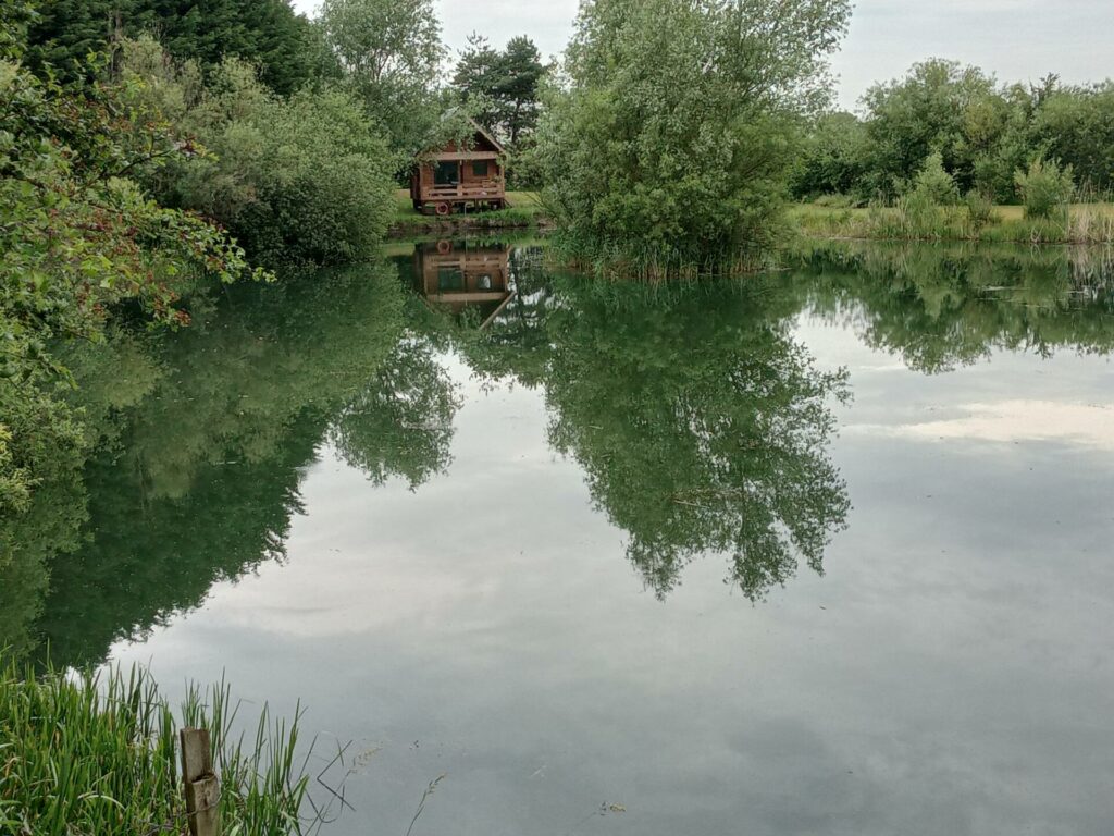 The Hide