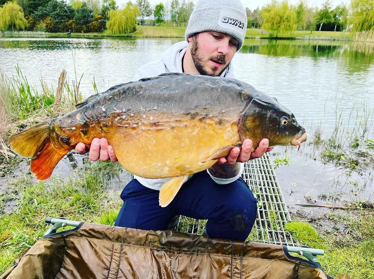 A beautiful carp from Bronze Lake at Wold View Country Park in Lincolnshire
