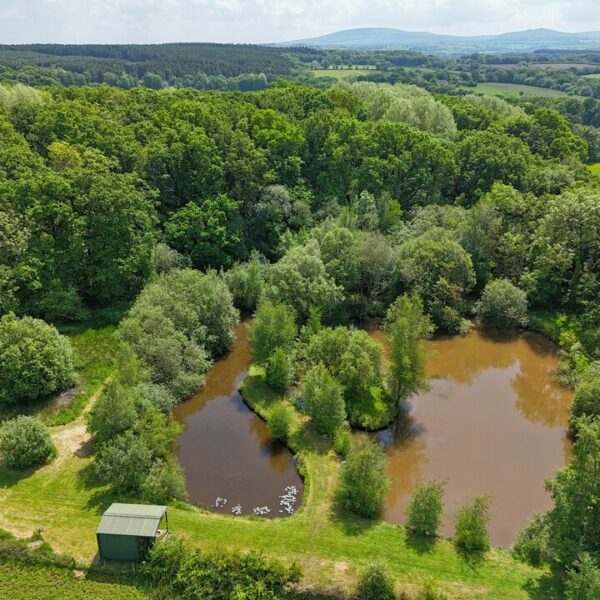 Barn conversion with private fishing lakes