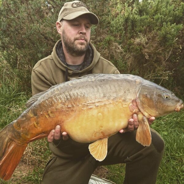 A nice carp from Bronze Lake at Wold View Country Park in Lincolnshire